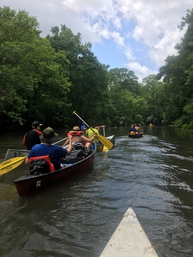 Canoeing Holmes Creek