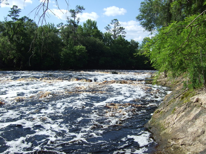 Kayaking the Suwannee River