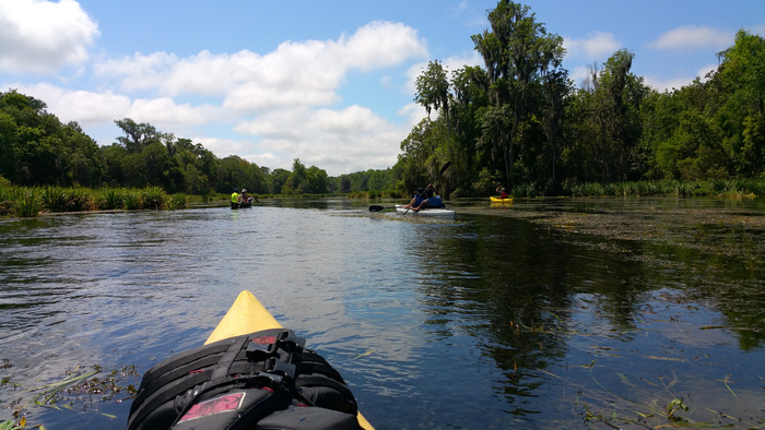 Kayaking the Wacissa River